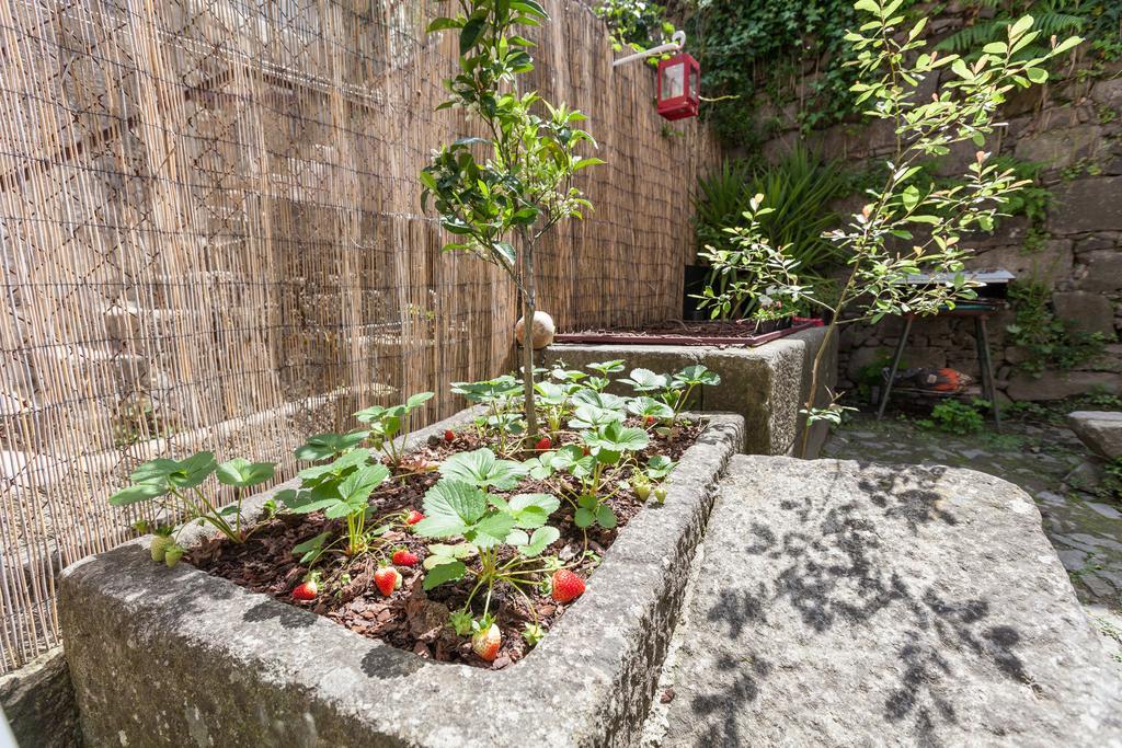 Bracara Hostel Braga Eksteriør billede
